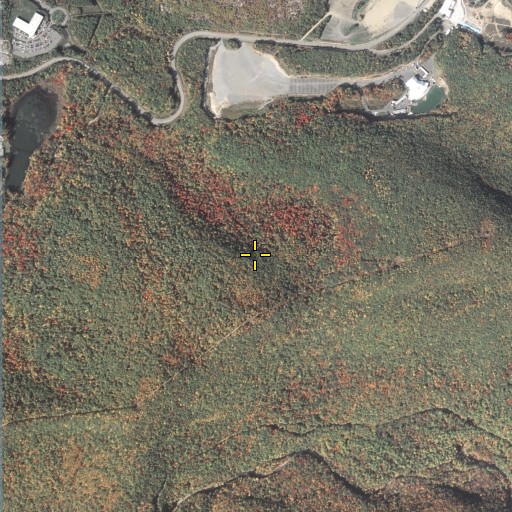 Aerial/Satellite Image of Stark Dam, PA