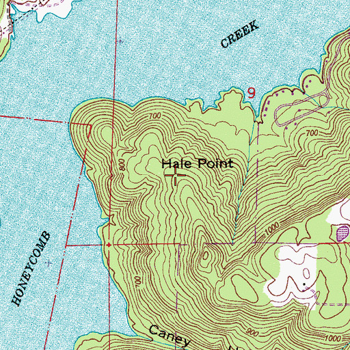 Topographic Map of Hale Point, AL