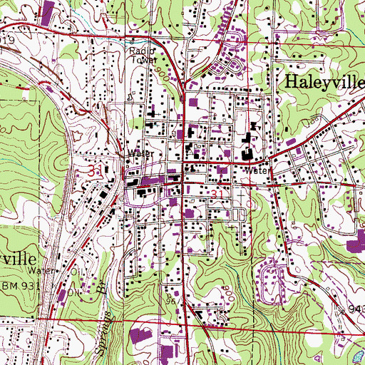 Topographic Map of Haleyville, AL