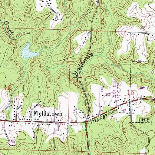 Topographic Map of Halfway Branch, AL