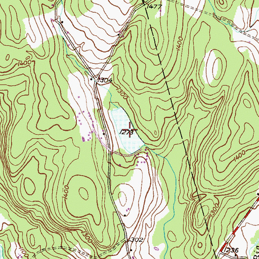 Topographic Map of Lake Cayuga, PA