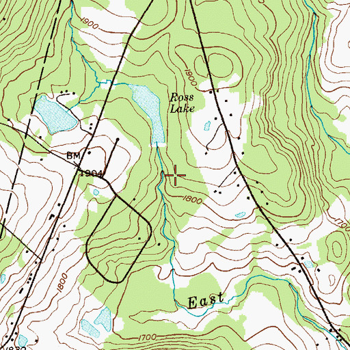 Topographic Map of Ross Lake, PA