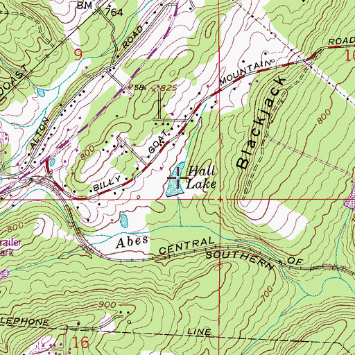 Topographic Map of Hall Lake, AL