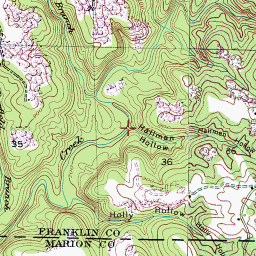 Topographic Map of Hallman Hollow, AL