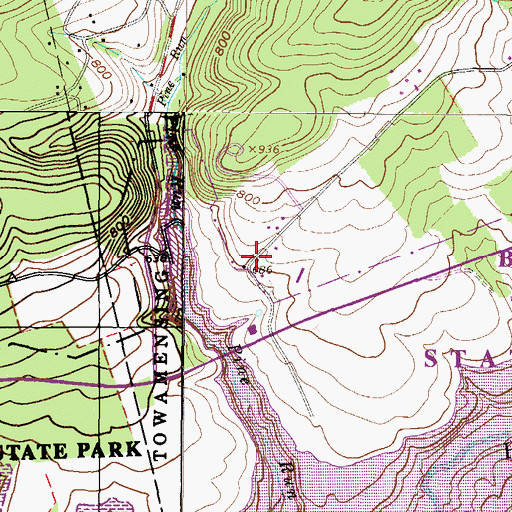 Topographic Map of Lower Pine Run School, PA
