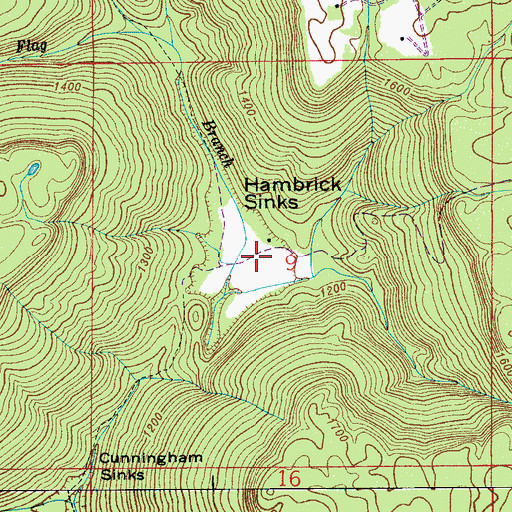 Topographic Map of Hambrick Sinks, AL