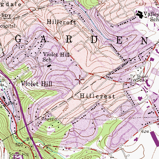 Topographic Map of Randolph Park, PA