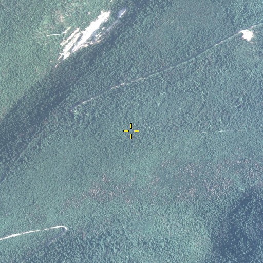 Aerial/Satellite Image of Big Spring State Park, PA