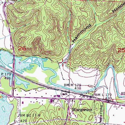 Topographic Map of Hammond Hollow, AL