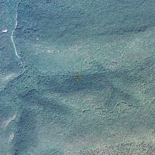 Aerial/Satellite Image of Fourth Gap, PA