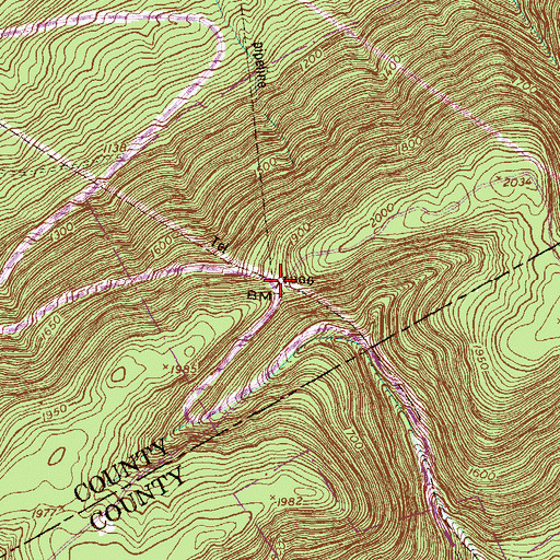 Topographic Map of Run Gap, PA