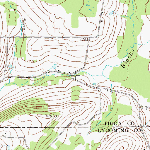 Topographic Map of Blacks Mill, PA