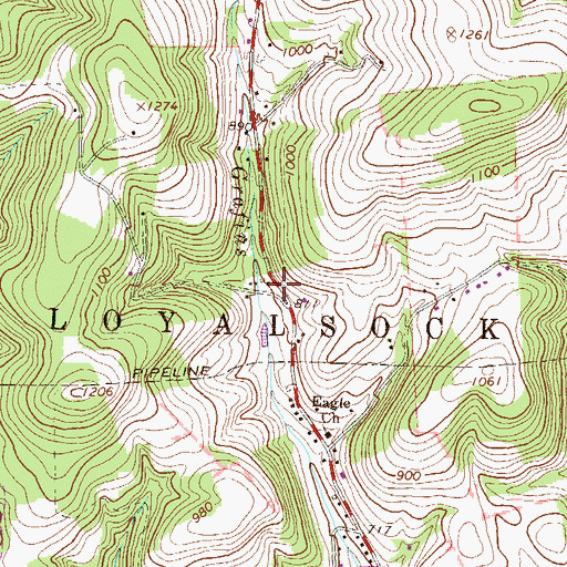 Topographic Map of Eagle School, PA