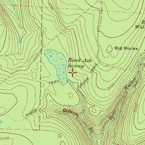 Topographic Map of Black Ash Swamp Natural Area, PA