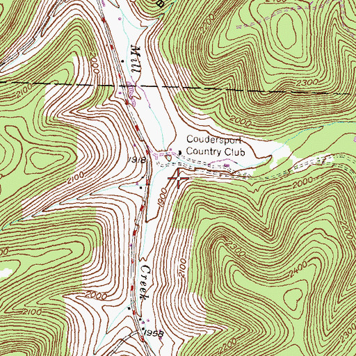 Topographic Map of Nelson Run, PA