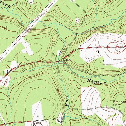 Topographic Map of Repine Run, PA