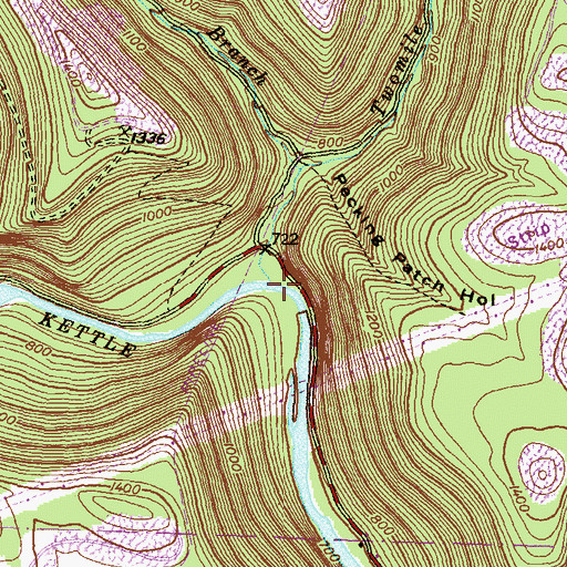 Topographic Map of Twomile Run, PA