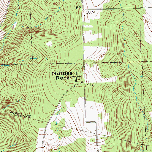 Topographic Map of Nuttles Rocks, PA