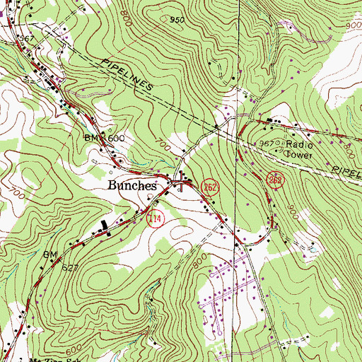 Topographic Map of Bunches, PA