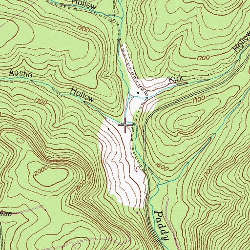 Topographic Map of Austin Hollow, PA