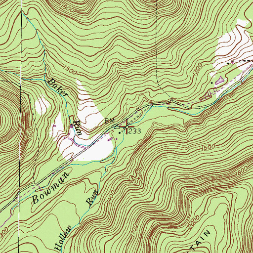 Topographic Map of Baker Run, PA