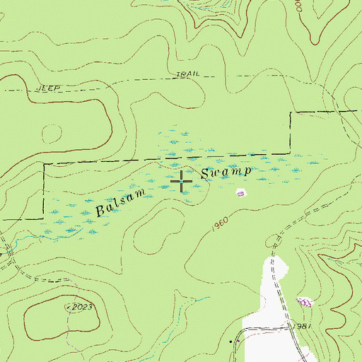 Topographic Map of Balsam Swamp, PA