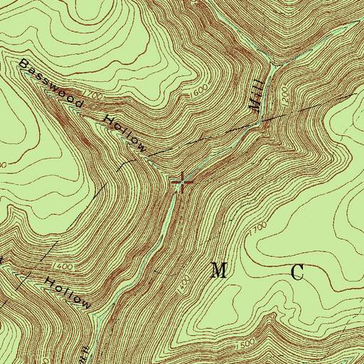 Topographic Map of Basswood Hollow, PA