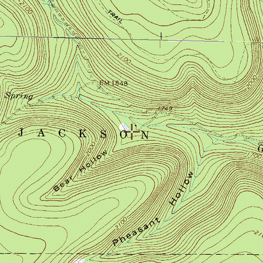 Topographic Map of Bear Hollow, PA