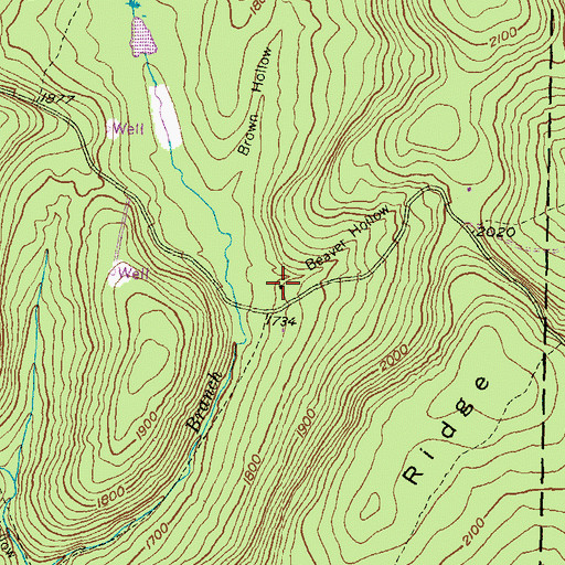 Topographic Map of Beaver Hollow, PA