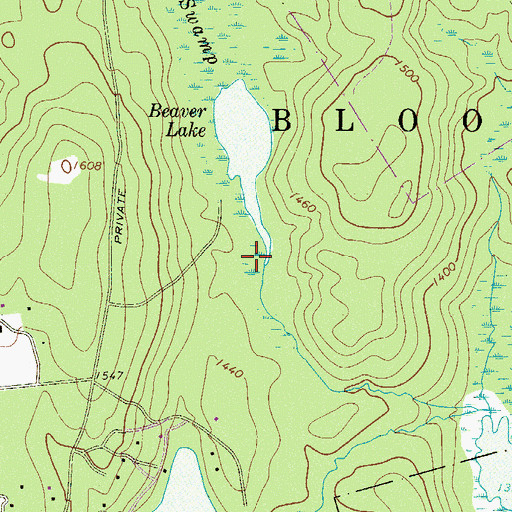 Topographic Map of Beaver Swamp, PA