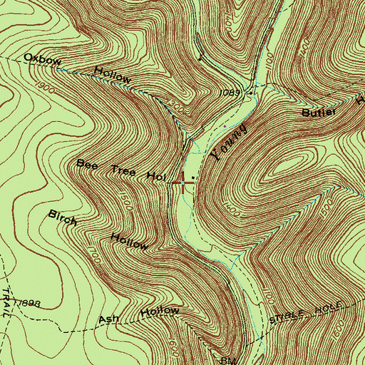 Topographic Map of Bee Tree Hollow, PA