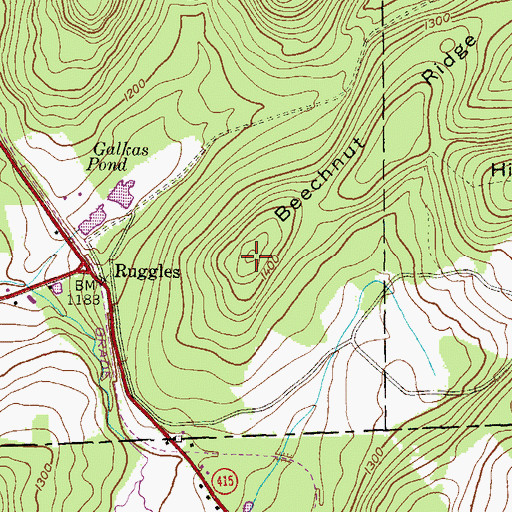 Topographic Map of Beechnut Ridge, PA