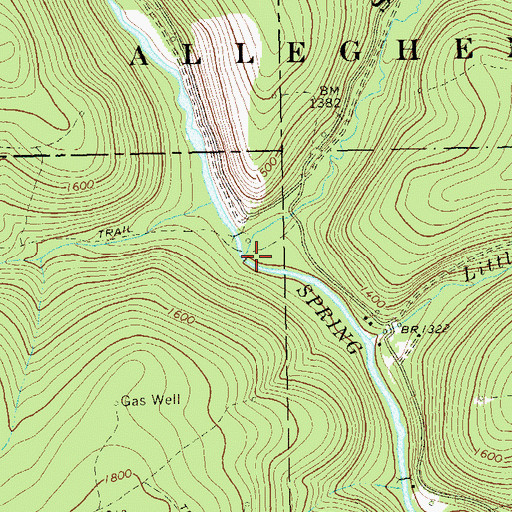Topographic Map of Big Run, PA