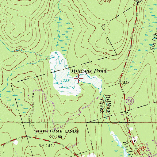 Topographic Map of Billings Pond, PA