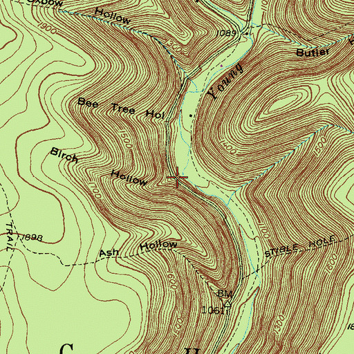 Topographic Map of Birch Hollow, PA
