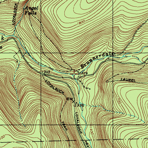 Topographic Map of Brunnerdale Run, PA
