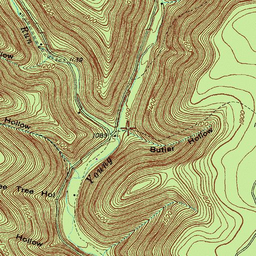 Topographic Map of Butler Hollow, PA