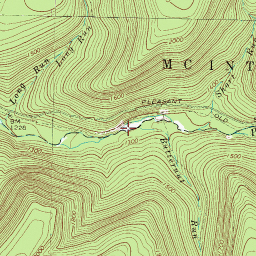 Topographic Map of Butternut Run, PA