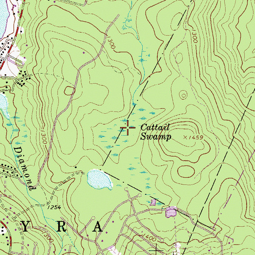Topographic Map of Cattail Swamp, PA