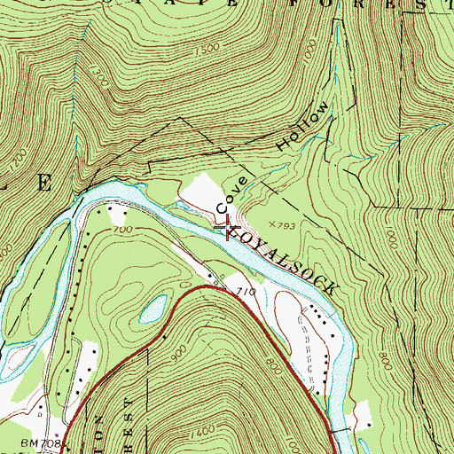 Topographic Map of Cove Hollow, PA