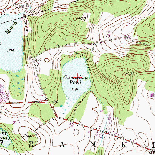 Topographic Map of Cummings Pond, PA