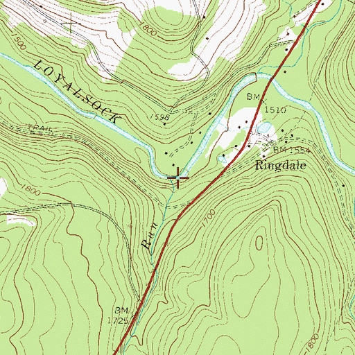 Topographic Map of Dutchman Run, PA