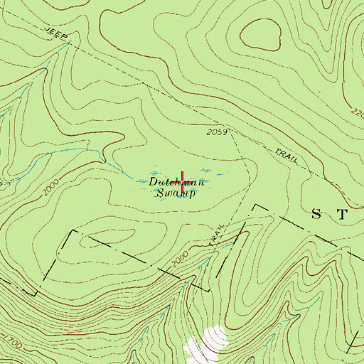 Topographic Map of Dutchman Swamp, PA