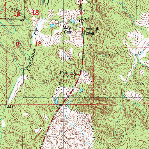 Topographic Map of Hawkins Chapel, AL