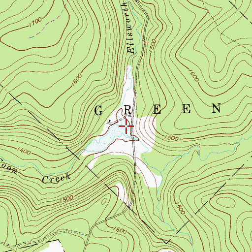 Topographic Map of Ellsworth Run, PA