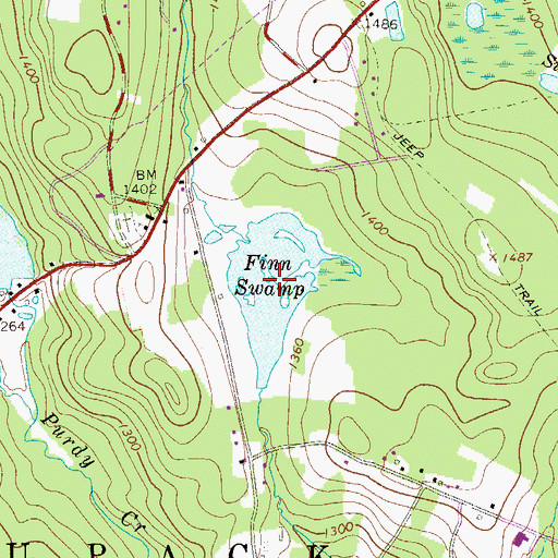 Topographic Map of Finn Swamp, PA
