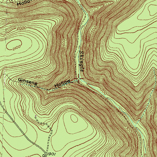 Topographic Map of Ginseng Hollow, PA