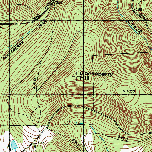 Topographic Map of Gooseberry Hill, PA