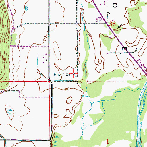 Topographic Map of Hayes Cemetery, AL
