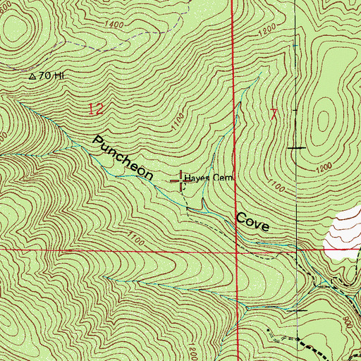 Topographic Map of Hayes Cemetery, AL